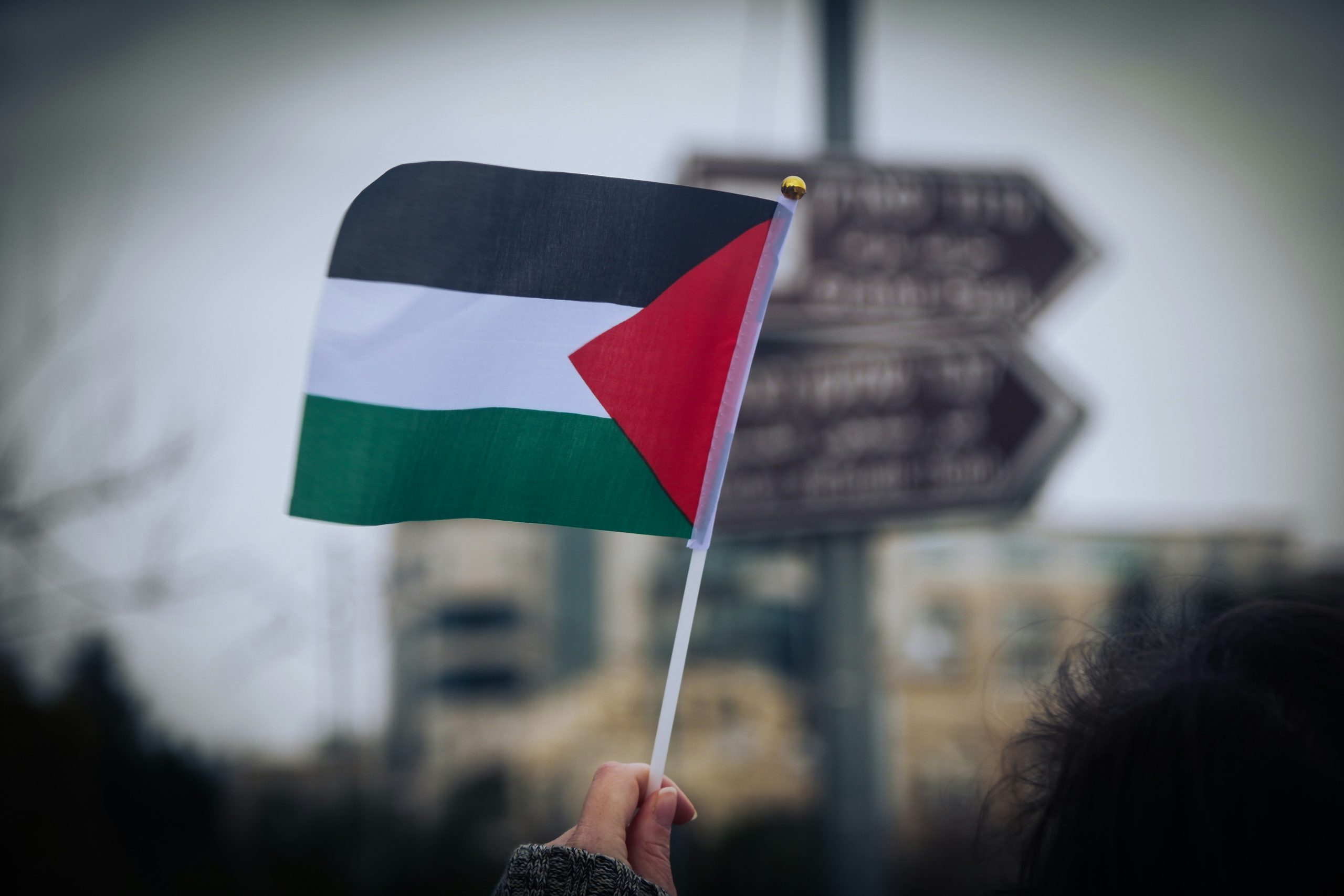 Activism